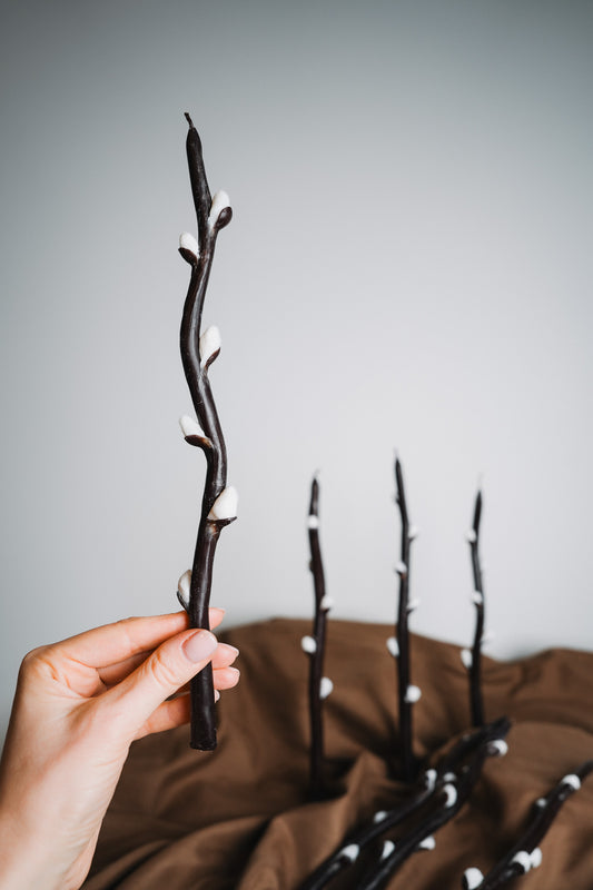 Pūpoli | bišu vaska sveces