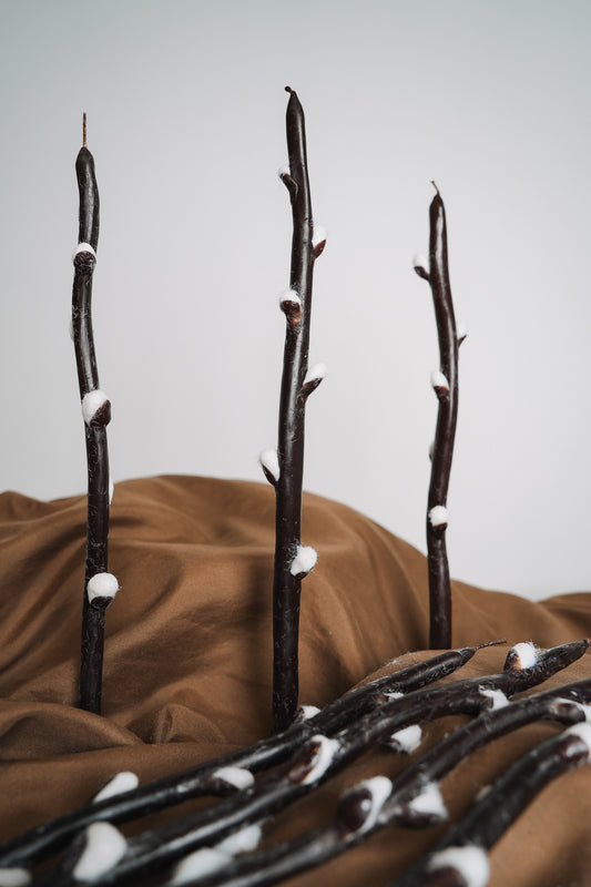 Pūpoli | bišu vaska sveces